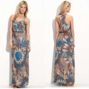Nwot Eclair maxi dress
